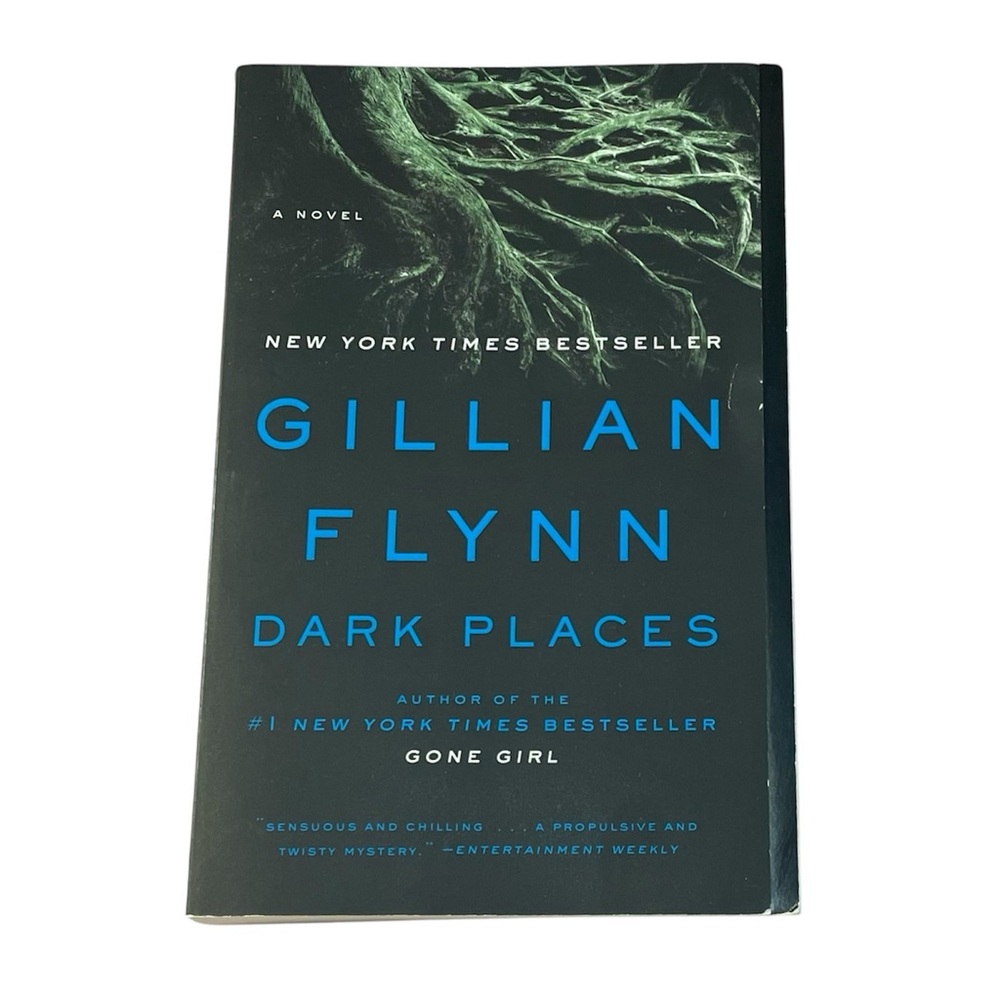 Dark‎ Places Novel by Gillian Flynn Paperback NEW
